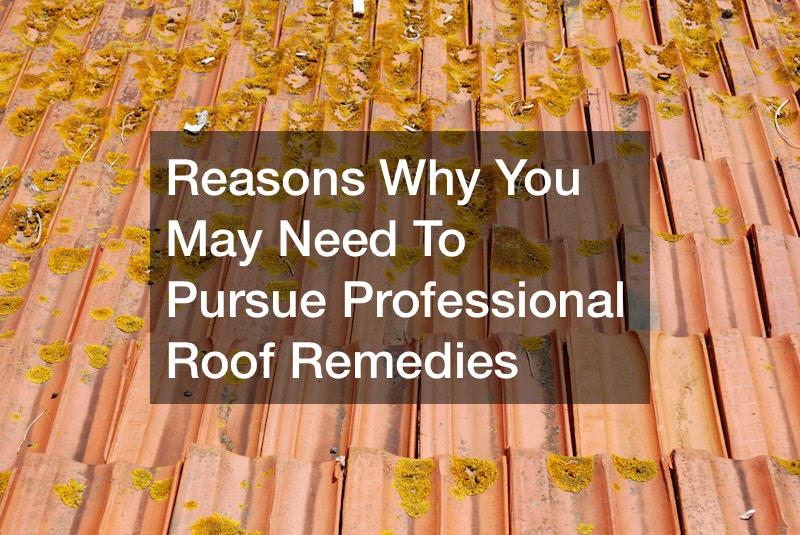 roof remedies